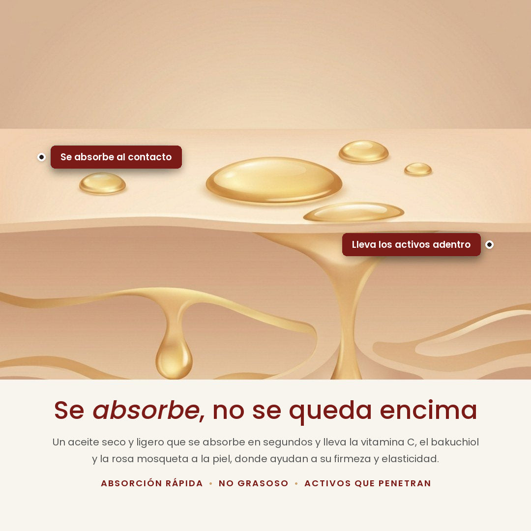 Hecho para absorberse